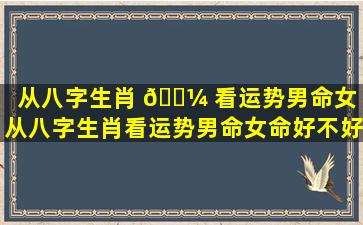 从八字生肖 🐼 看运势男命女「从八字生肖看运势男命女命好不好」